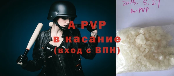 шишки Беломорск