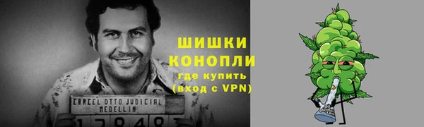 шишки Беломорск