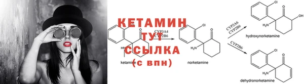 шишки Беломорск