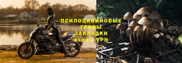 шишки Беломорск