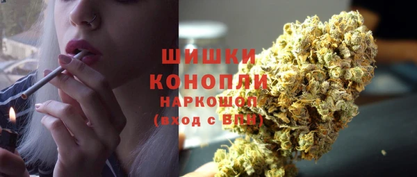 шишки Беломорск