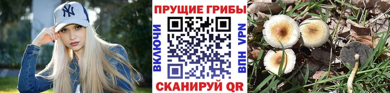 маркетплейс наркотические препараты  Мыски  Галлюциногенные грибы Magic Shrooms 